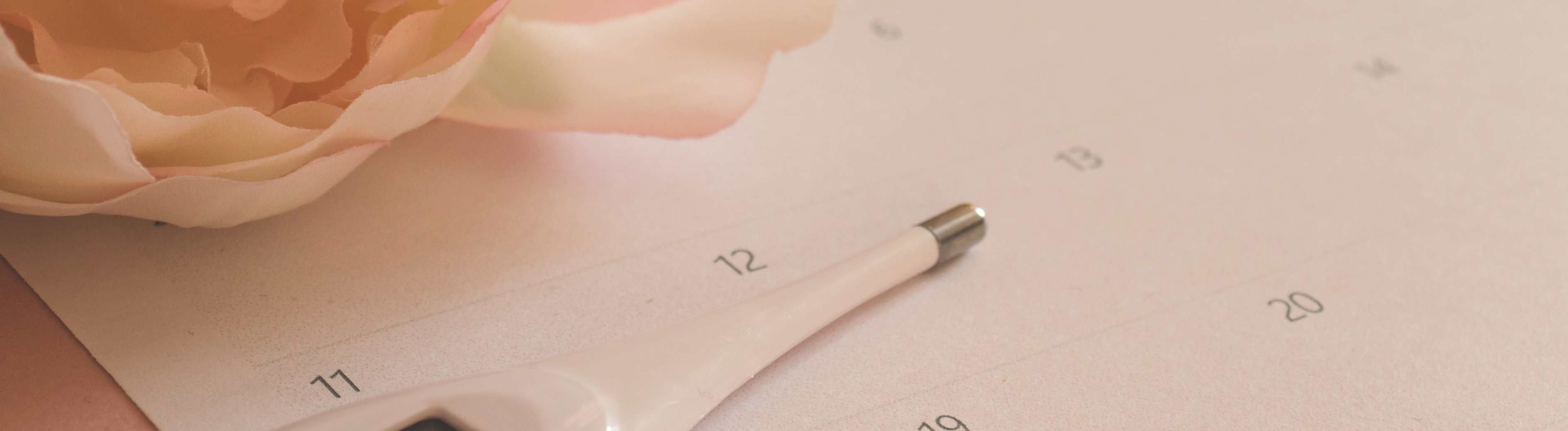Pale pink rose next to a calendar and pen symbolizing planning and anticipation