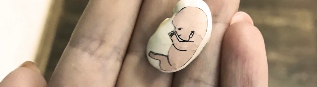 8 Week Pregnant Symptoms: What to Expect in Early Pregnancy